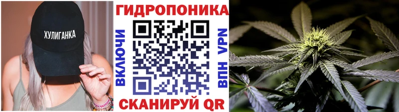 omg Пойковский Бошки марихуана конопля магазин наркотиков